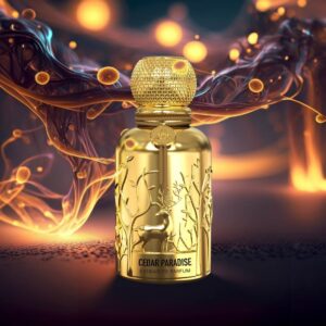 Auraa Desire Cedar Paradise Extrait de Parfum For Men (100 ML)