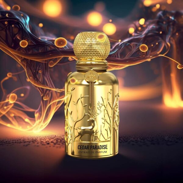 Auraa Desire Cedar Paradise Extrait de Parfum For Men (100 ML)